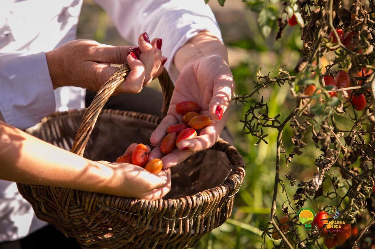 Agriturismo Ai Carpini Маркон Екстериор снимка