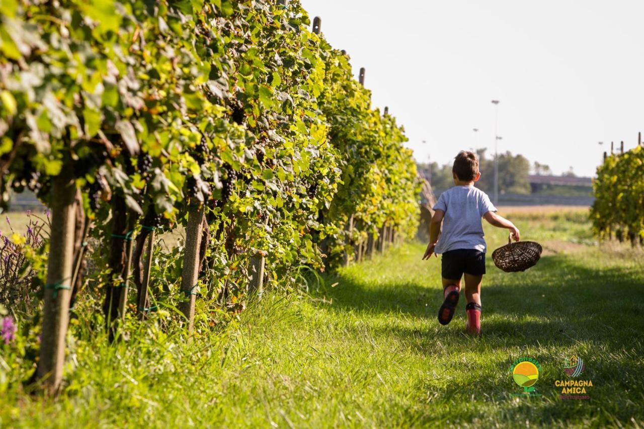 Agriturismo Ai Carpini Маркон Екстериор снимка