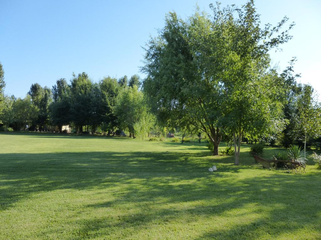 Agriturismo Ai Carpini Маркон Екстериор снимка